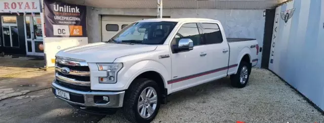 FORD F-Series F-100/F-150 