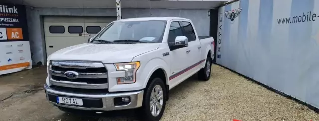 FORD F-Series F-100/F-150 