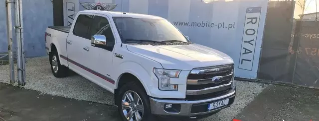 FORD F-Series F-100/F-150 