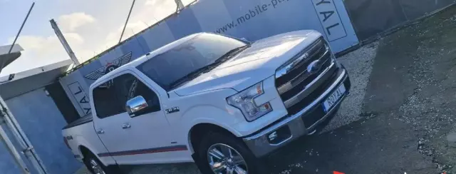 FORD F-Series F-100/F-150 