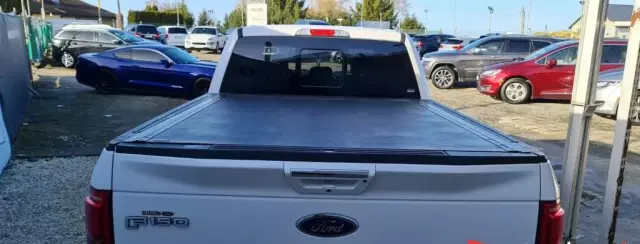 FORD F-Series F-100/F-150 