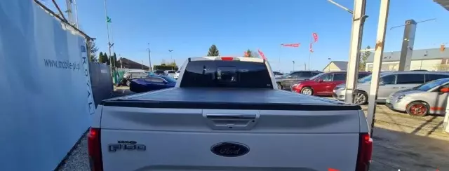 FORD F-Series F-100/F-150 