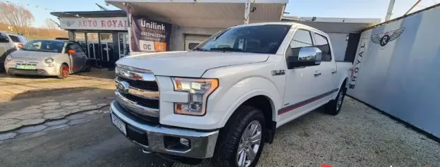 FORD F-Series F-100/F-150 