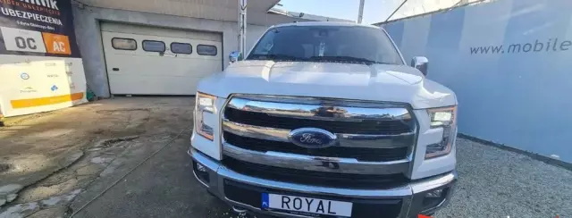 FORD F-Series F-100/F-150 