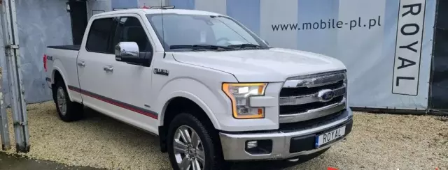 FORD F-Series F-100/F-150 