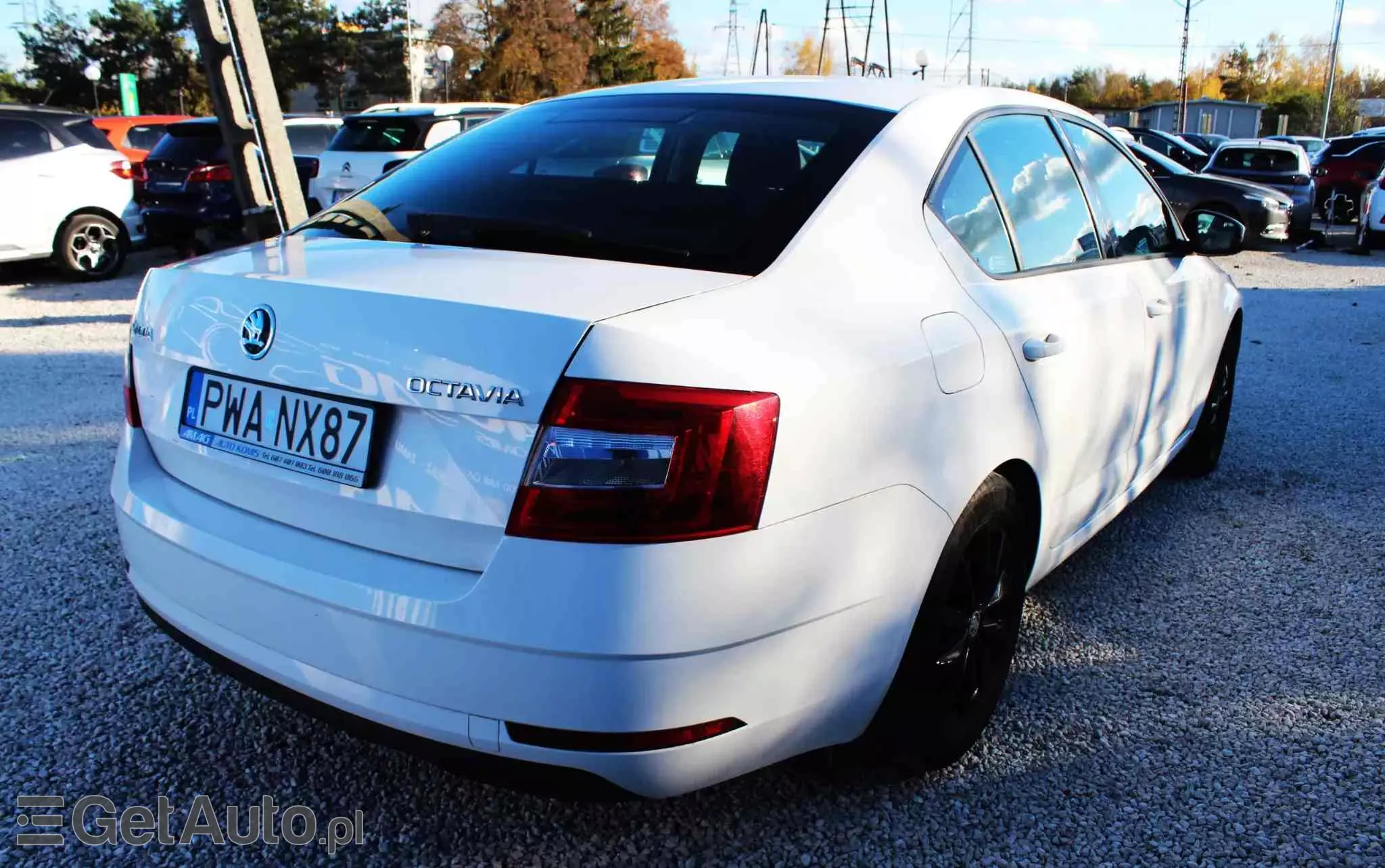 SKODA Octavia 1.6 TDI Business