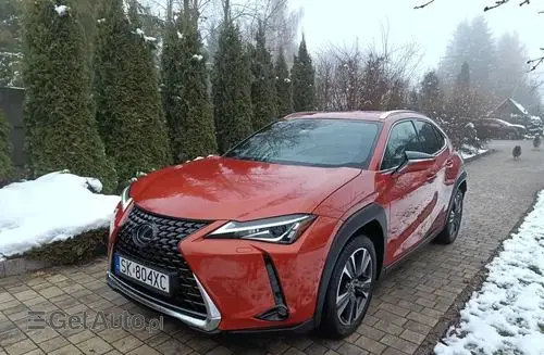 LEXUS UX 