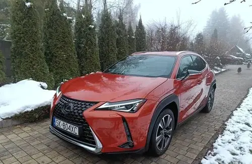 LEXUS UX 