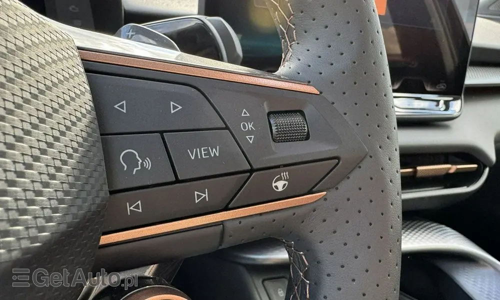 CUPRA Terramar 2.0 TSI 4Drive DSG VZ