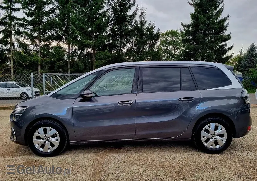 CITROËN C4 SpaceTourer 1.5 BlueHDi Rip Curl S&S EAT8