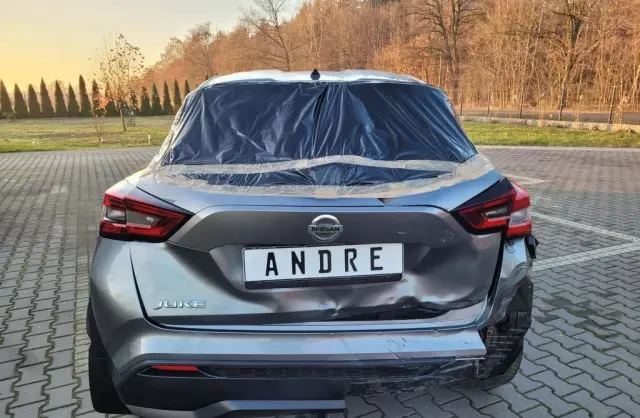 NISSAN Juke 