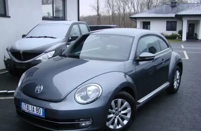 VOLKSWAGEN Beetle 
