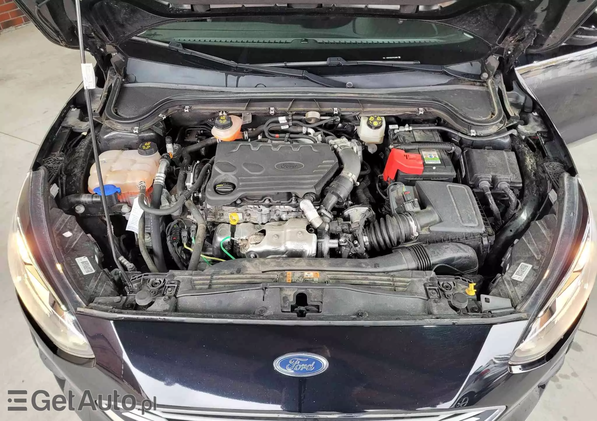 FORD Focus 1.5 EcoBlue Active