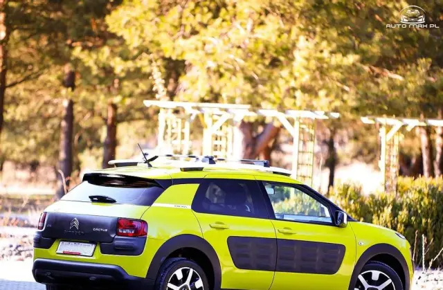 CITROEN C4 Cactus 