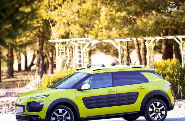 CITROEN C4 Cactus 