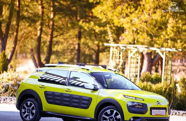 CITROEN C4 Cactus 
