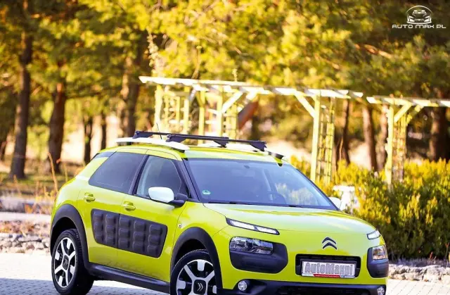 CITROEN C4 Cactus 