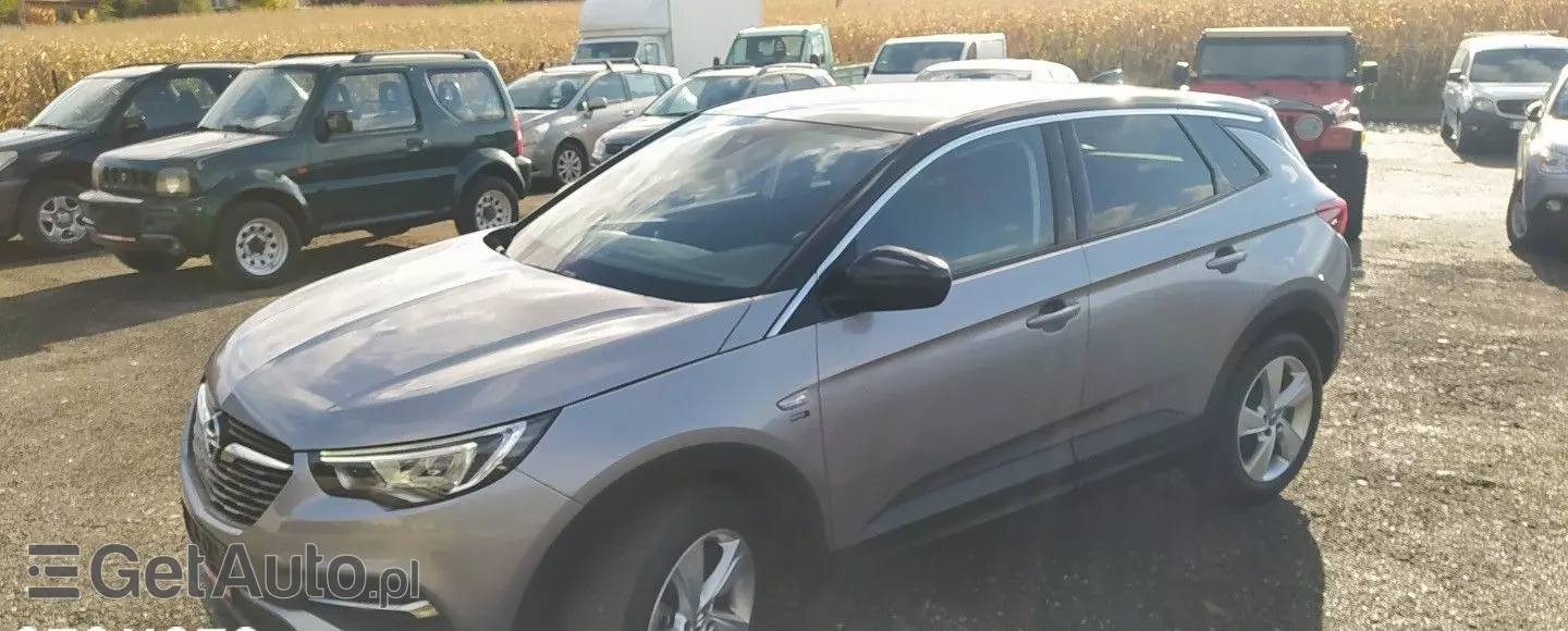 OPEL Grandland X 