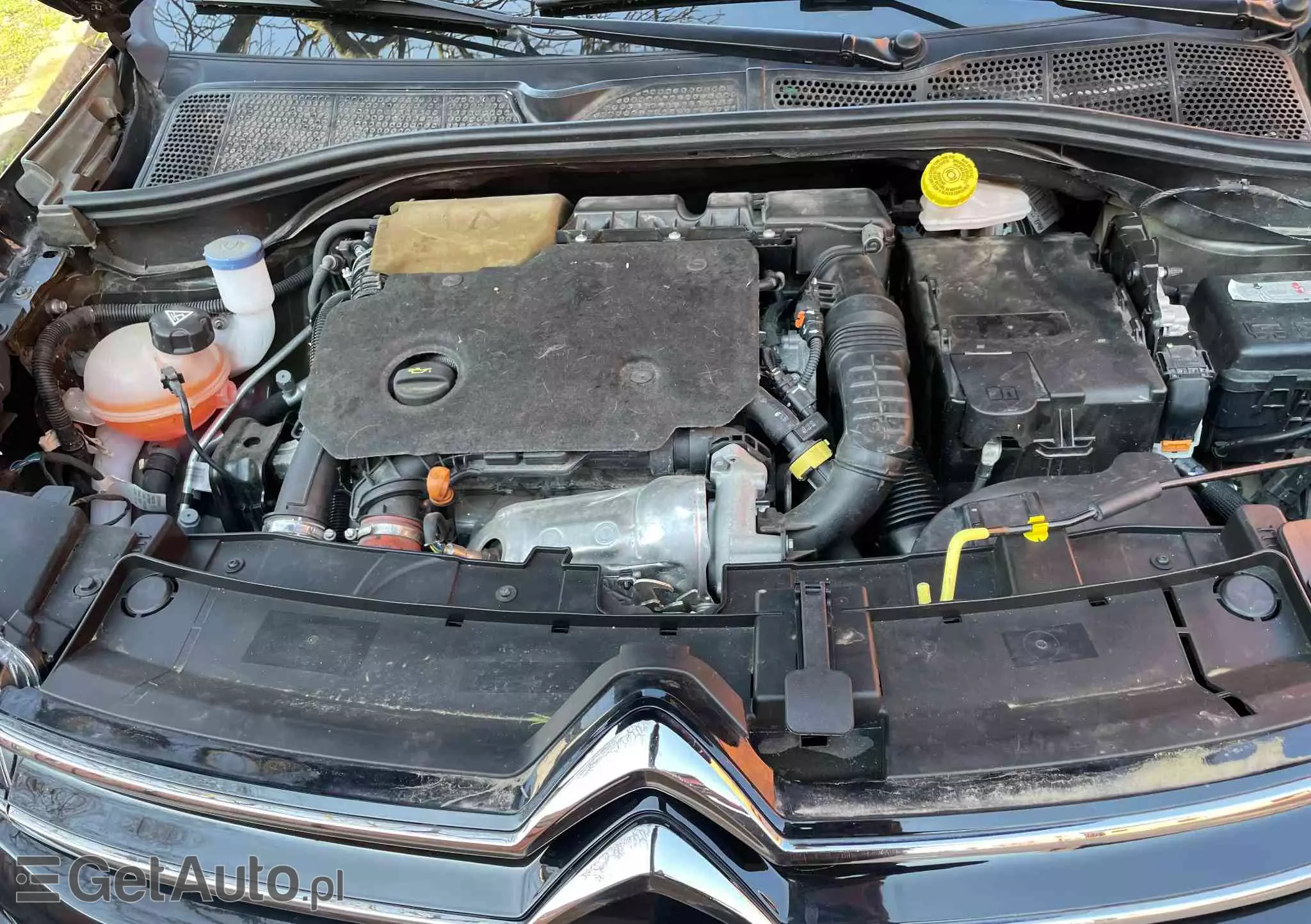 CITROËN C4 Cactus 1.5 BlueHDi Origins