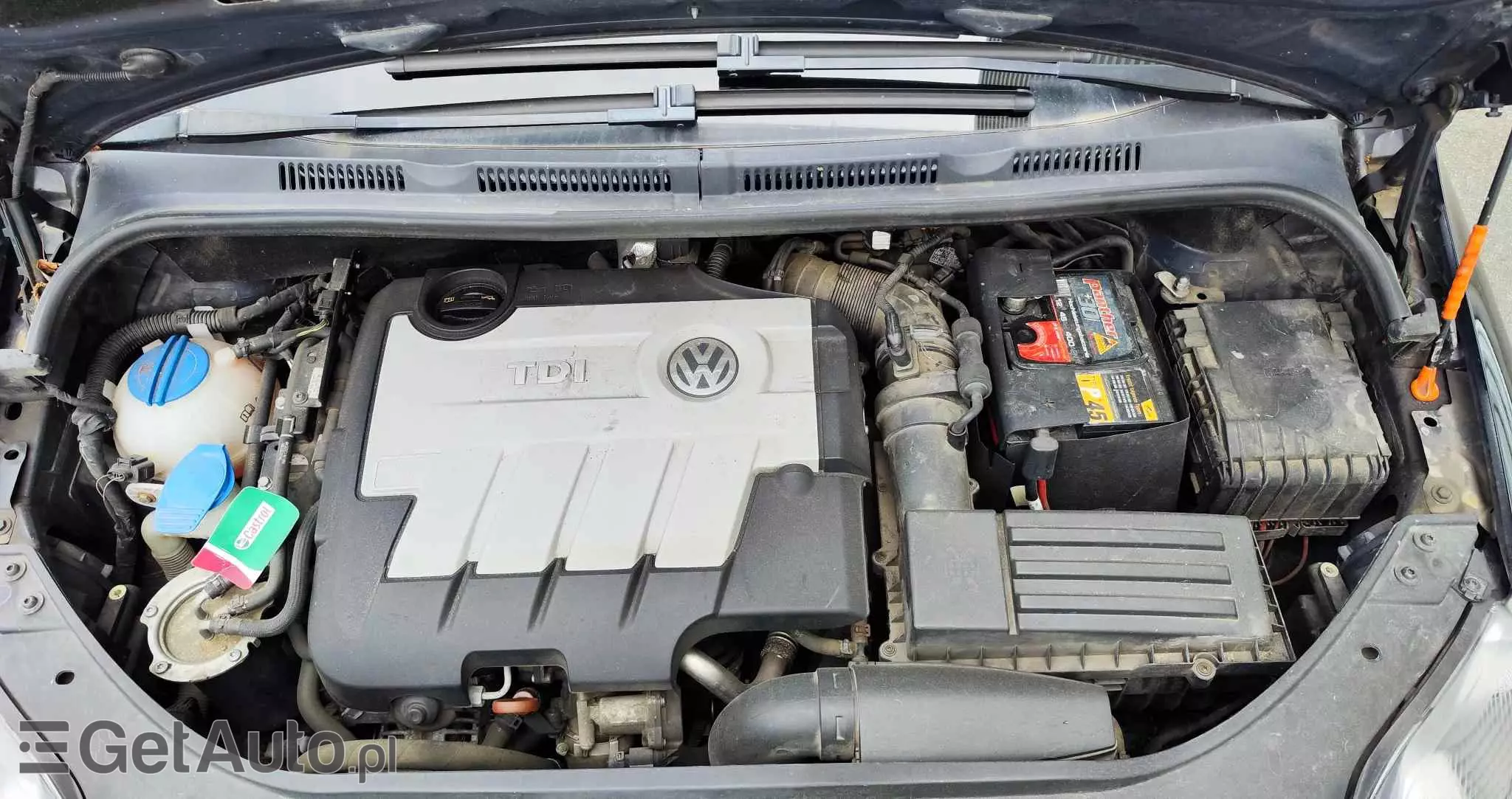 VOLKSWAGEN Golf Plus 