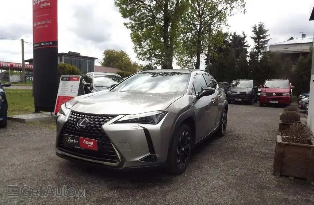 LEXUS UX 