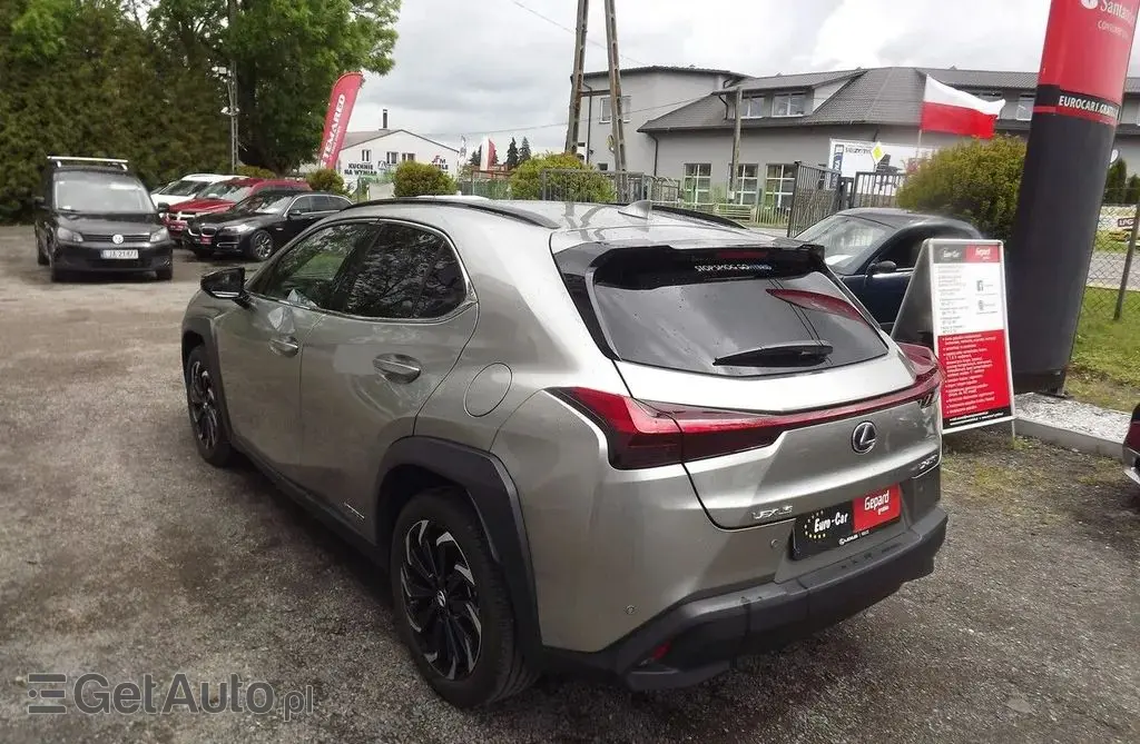 LEXUS UX 