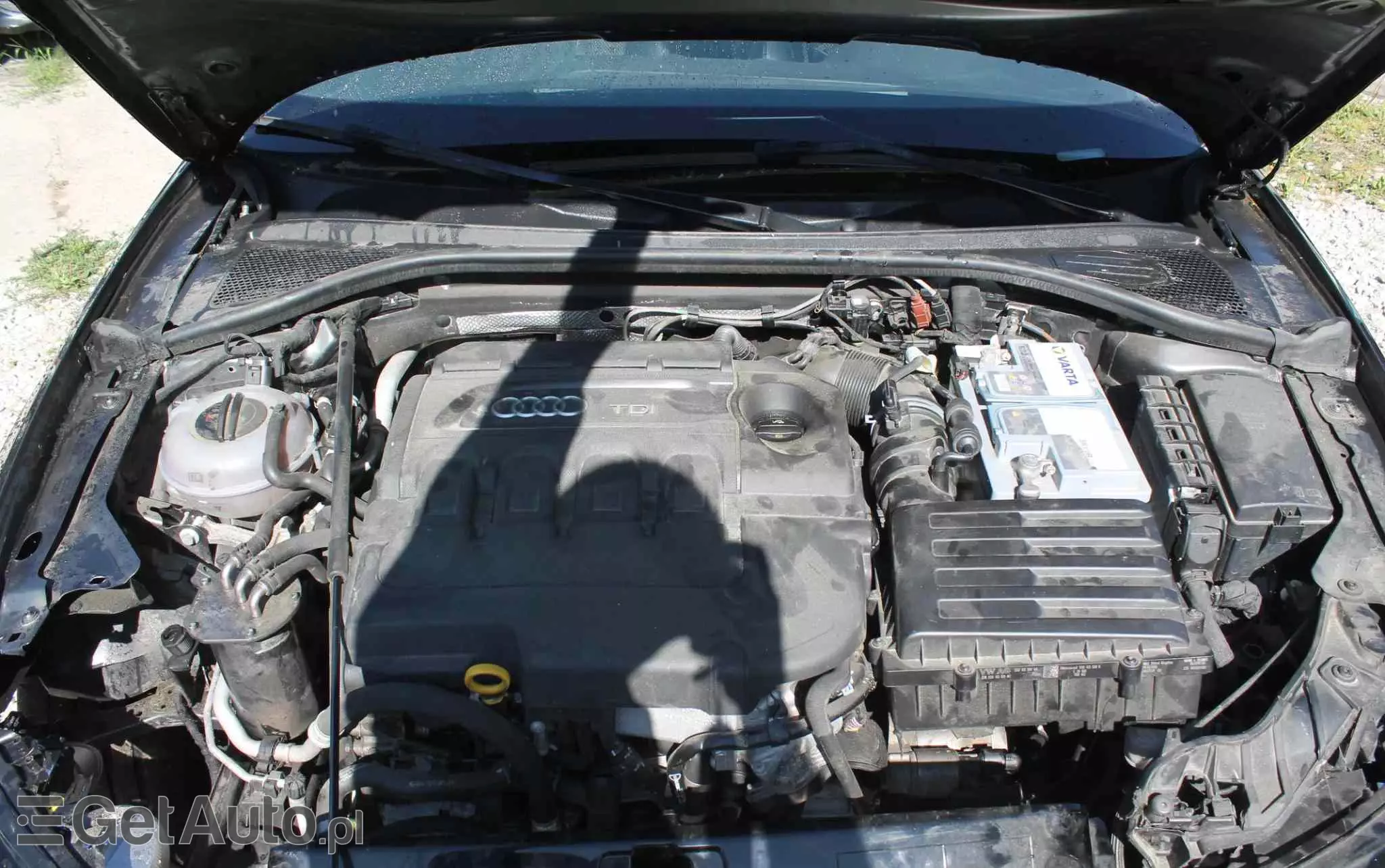 AUDI A3 2.0 TDI clean diesel Quattro Ambition S tronic