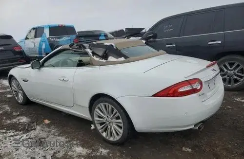 JAGUAR XK 