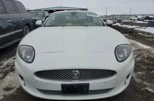 JAGUAR XK 