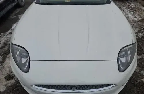 JAGUAR XK 