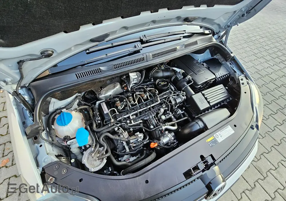 VOLKSWAGEN Golf Plus 1.6 TDI DPF BlueMotion Technology Team