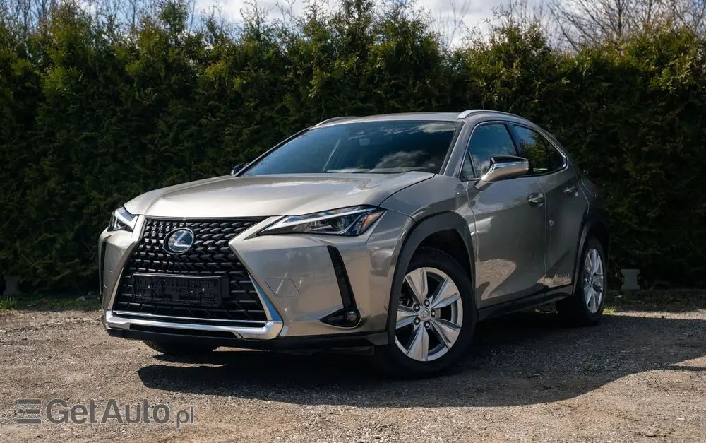 LEXUS UX 250h Business Edition