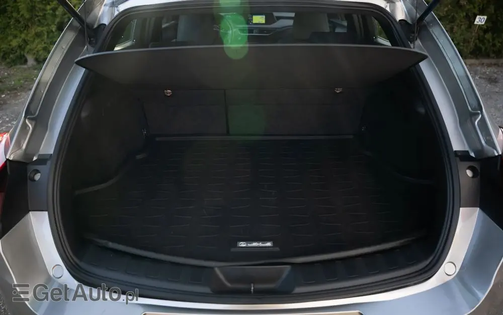 LEXUS UX 250h Business Edition