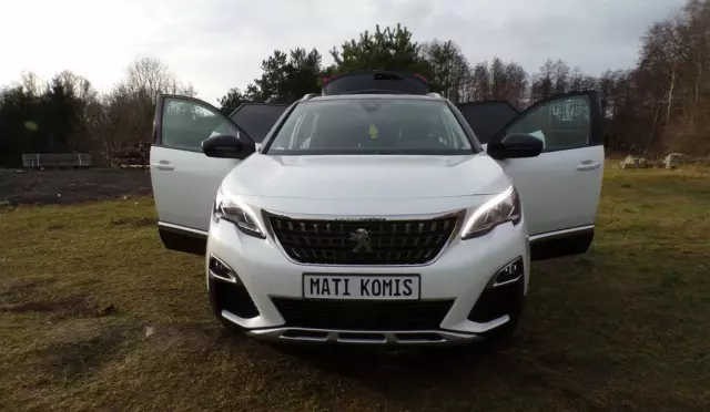 PEUGEOT 3008 
