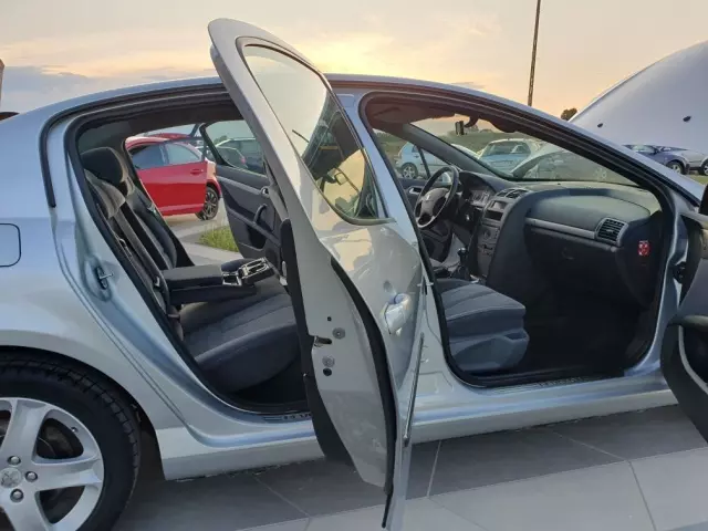 PEUGEOT 407 