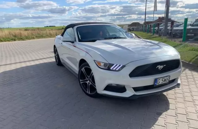FORD Mustang 