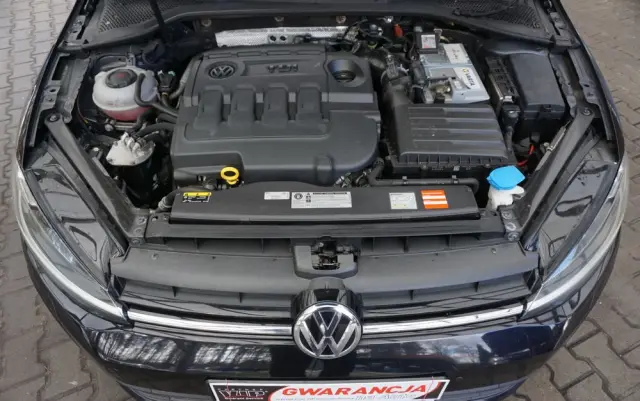 VOLKSWAGEN Golf Variant 1.6 TDI SCR DSG Comfortline