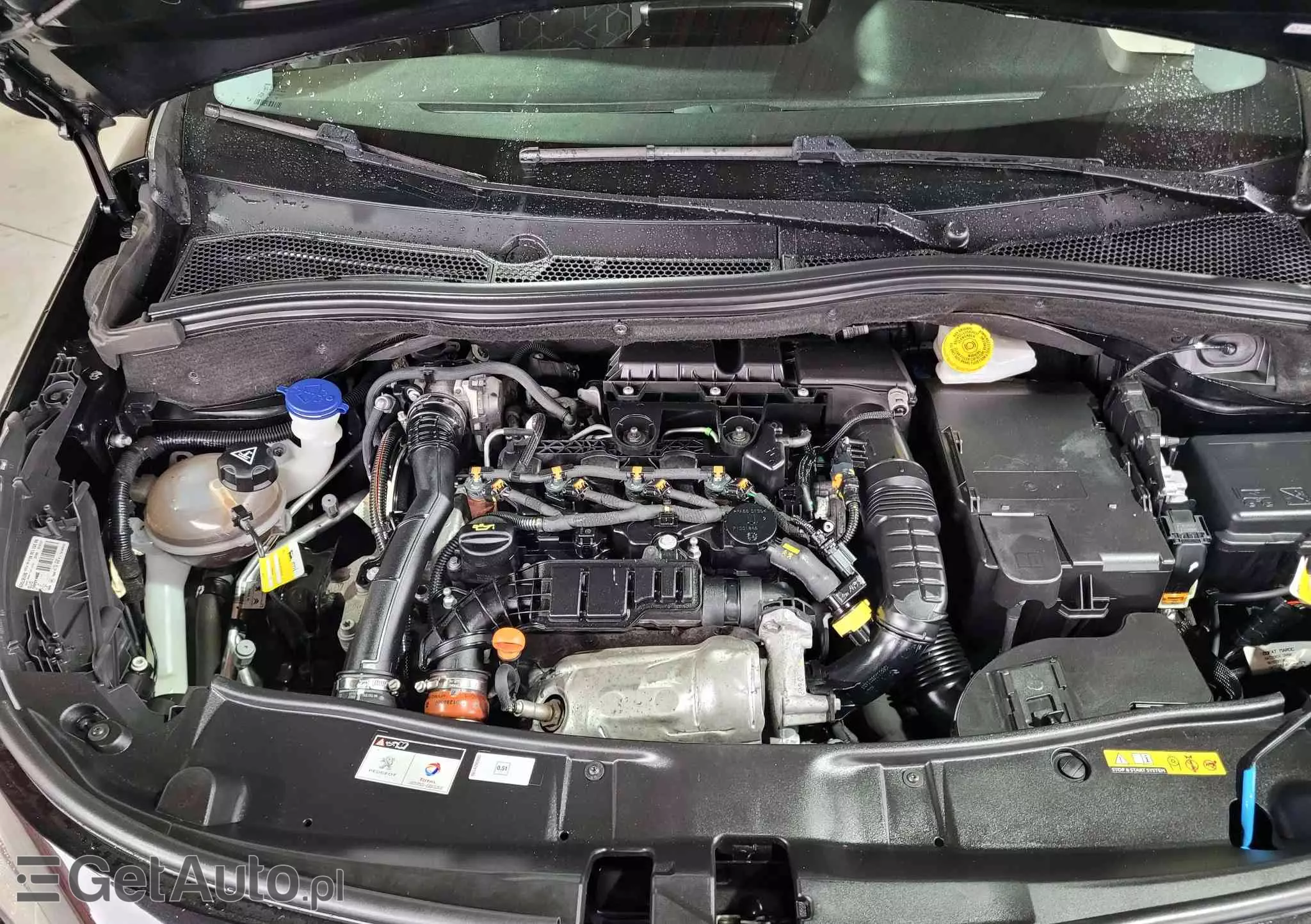 PEUGEOT 2008 1.5 BlueHDi Allure