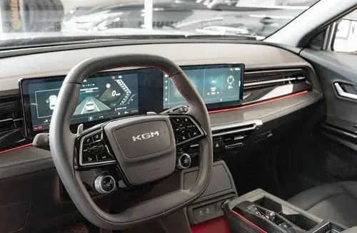 SSANGYONG/KGM Actyon 