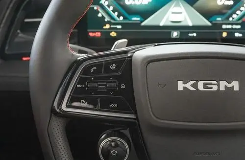 SSANGYONG/KGM Actyon 