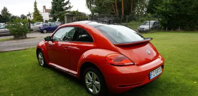 VOLKSWAGEN Beetle 