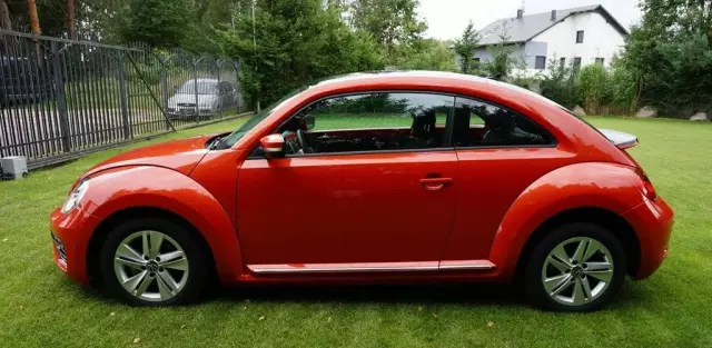 VOLKSWAGEN Beetle 