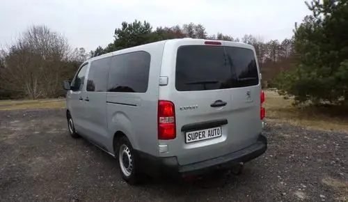 PEUGEOT Traveller 