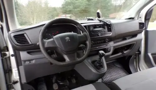 PEUGEOT Traveller 