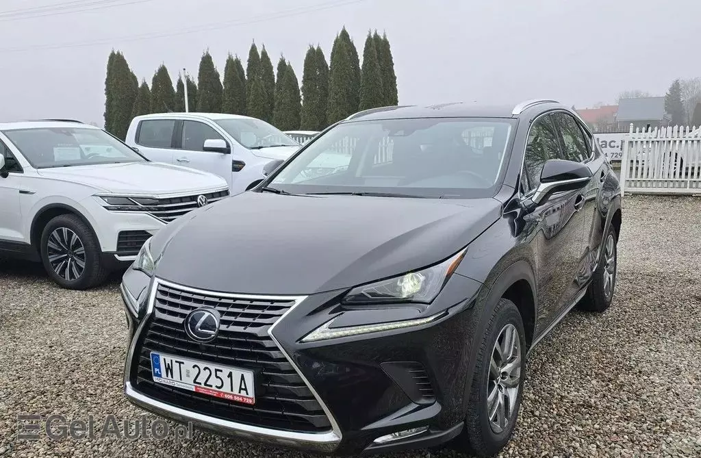 LEXUS NX 