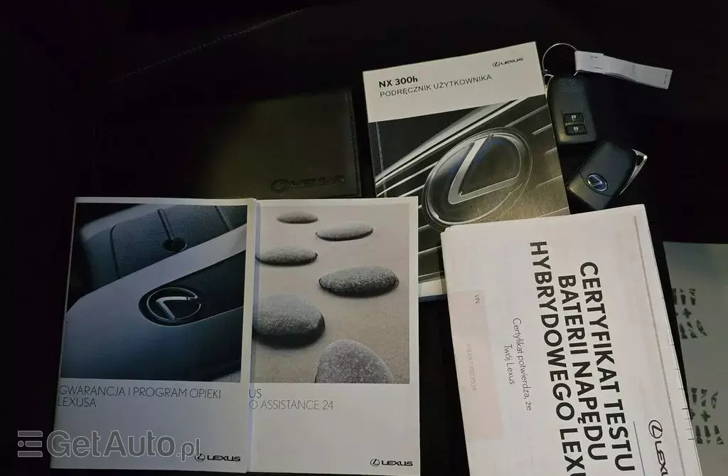 LEXUS NX 