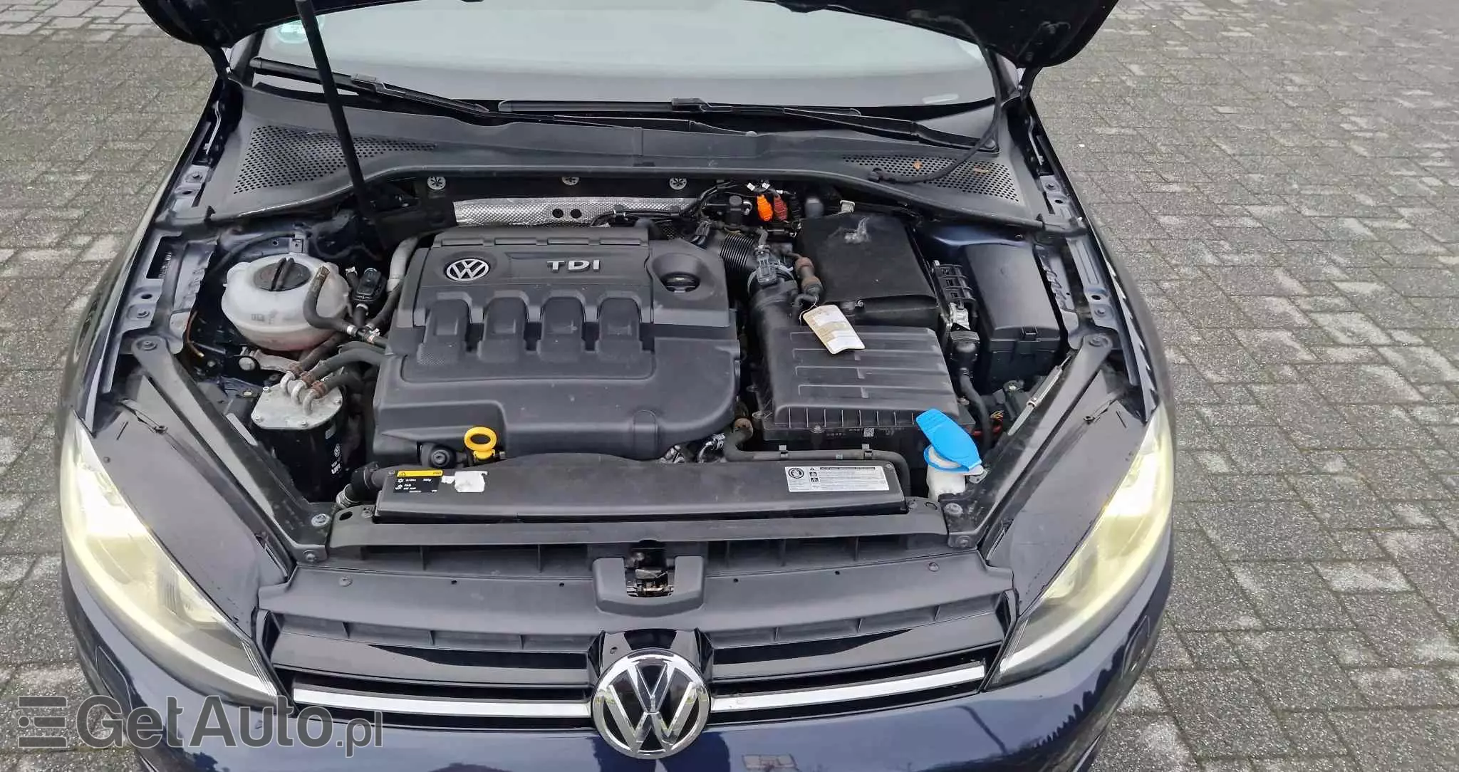 VOLKSWAGEN Golf VII 1.6 TDI BMT Comfortline