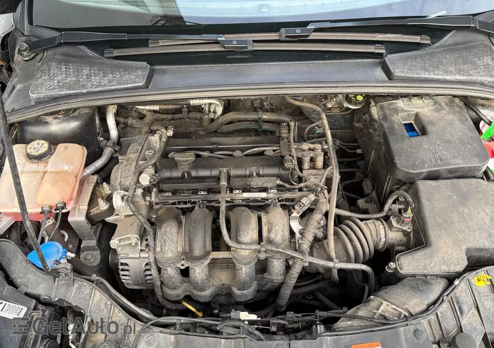 FORD Focus 1.6 Trend Sport