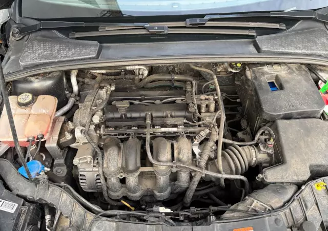 FORD Focus 1.6 Trend Sport