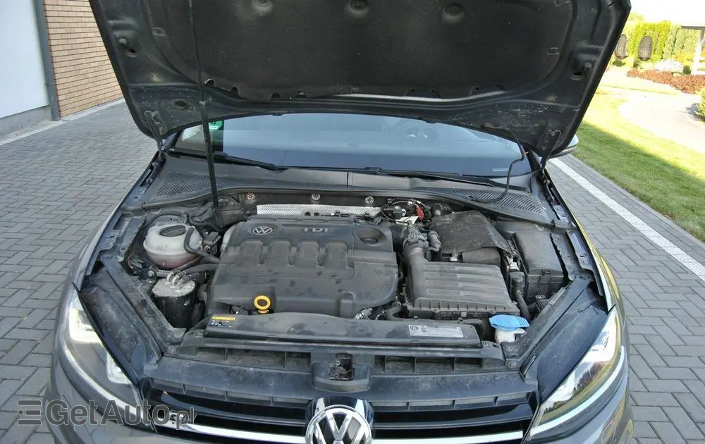 VOLKSWAGEN Golf VII 1.6 TDI BlueMotion Trendline